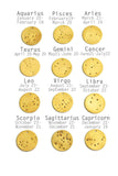 Zodiac Constellation Disc